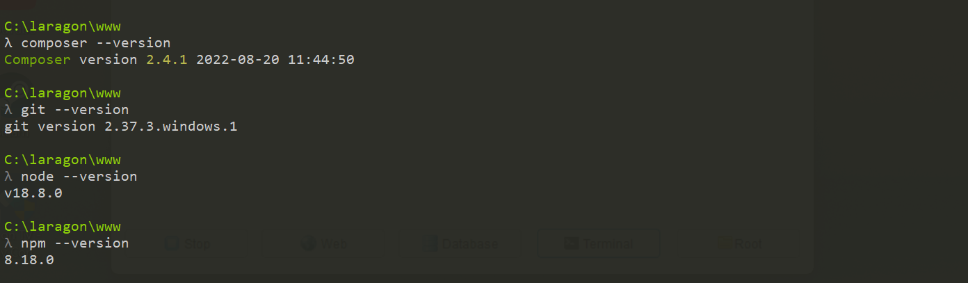 Tampilan install node, npm, git, composer